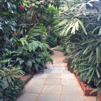 фото из отзыва ID 1611431