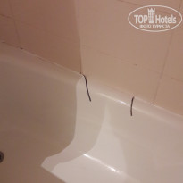 фото из отзыва ID 1611491