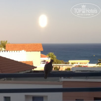 фото из отзыва ID 1611520