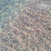 фото из отзыва ID 1611520