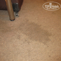 фото из отзыва ID 1611534