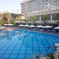 фото из отзыва ID 1611567