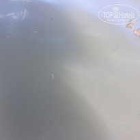 фото из отзыва ID 1611583