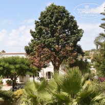 фото из отзыва ID 1611647