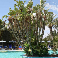 фото из отзыва ID 1611647