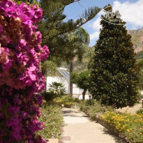 фото из отзыва ID 1611647