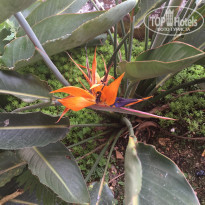 фото из отзыва ID 1611711