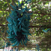 фото из отзыва ID 1611711