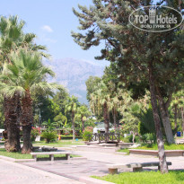 фото из отзыва ID 1611813