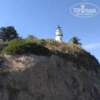 фото из отзыва ID 1611930