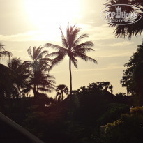 фото из отзыва ID 1612096