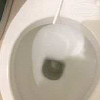 фото из отзыва ID 1612107