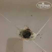 фото из отзыва ID 1612107