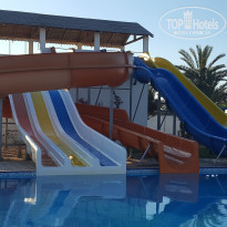 фото из отзыва ID 1612131