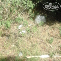 фото из отзыва ID 1612246