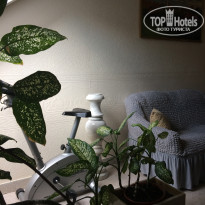 фото из отзыва ID 1612294