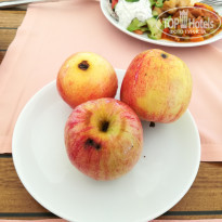 фото из отзыва ID 1612431