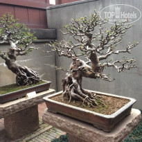 фото из отзыва ID 1612498