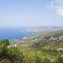 фото из отзыва ID 1612559