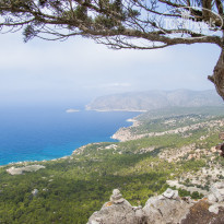 фото из отзыва ID 1612559