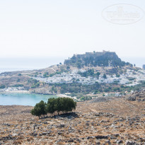 фото из отзыва ID 1612559