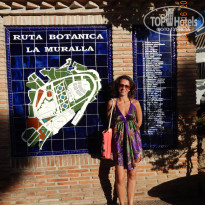 фото из отзыва ID 1613048