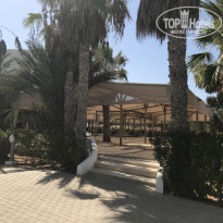 фото из отзыва ID 1613155