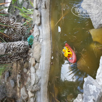 фото из отзыва ID 1613169