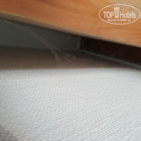 фото из отзыва ID 1613169