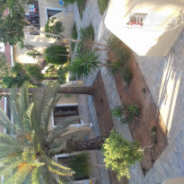 фото из отзыва ID 1611002