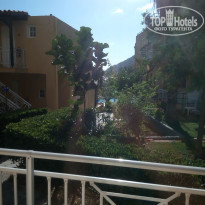 фото из отзыва ID 1613330