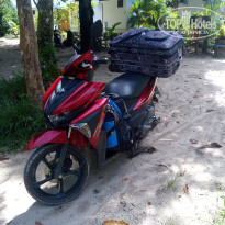 фото из отзыва ID 1612558