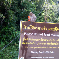 фото из отзыва ID 1612558