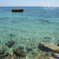 фото из отзыва ID 1613445