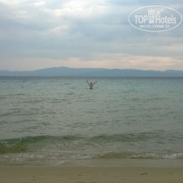 фото из отзыва ID 1613675