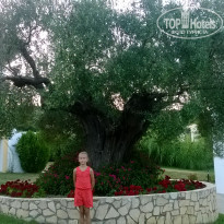 фото из отзыва ID 1613675