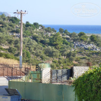 фото из отзыва ID 1612431