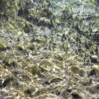 фото из отзыва ID 1612431