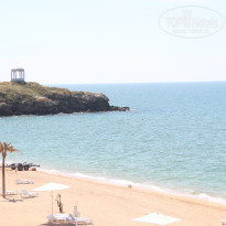 фото из отзыва ID 1614173