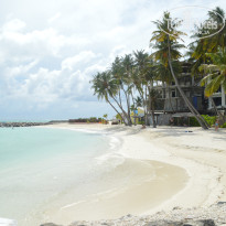 фото из отзыва ID 1614279