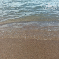 фото из отзыва ID 1614508