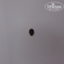 фото из отзыва ID 1614664