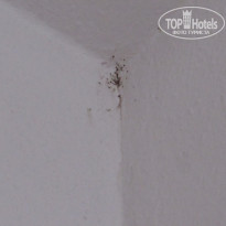 фото из отзыва ID 1614664