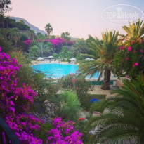 фото из отзыва ID 1615011