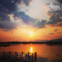 фото из отзыва ID 1615011