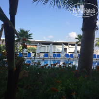 фото из отзыва ID 1615118