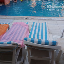 фото из отзыва ID 1615340