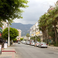 фото из отзыва ID 1615235