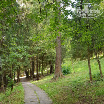 фото из отзыва ID 1615449