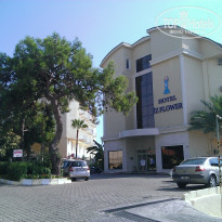 фото из отзыва ID 1615483